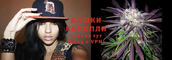 метадон Пересвет