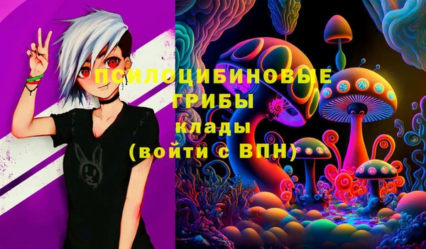 мдма Переславль-Залесский